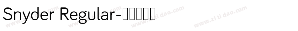 Snyder Regular字体转换